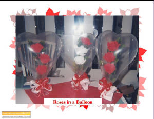 rosesinaballoon.jpg