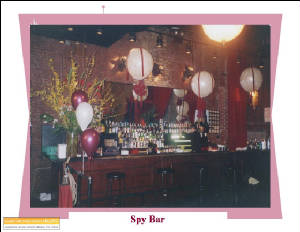 spybar.jpg